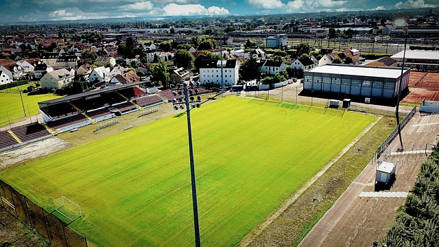 孙颖莎